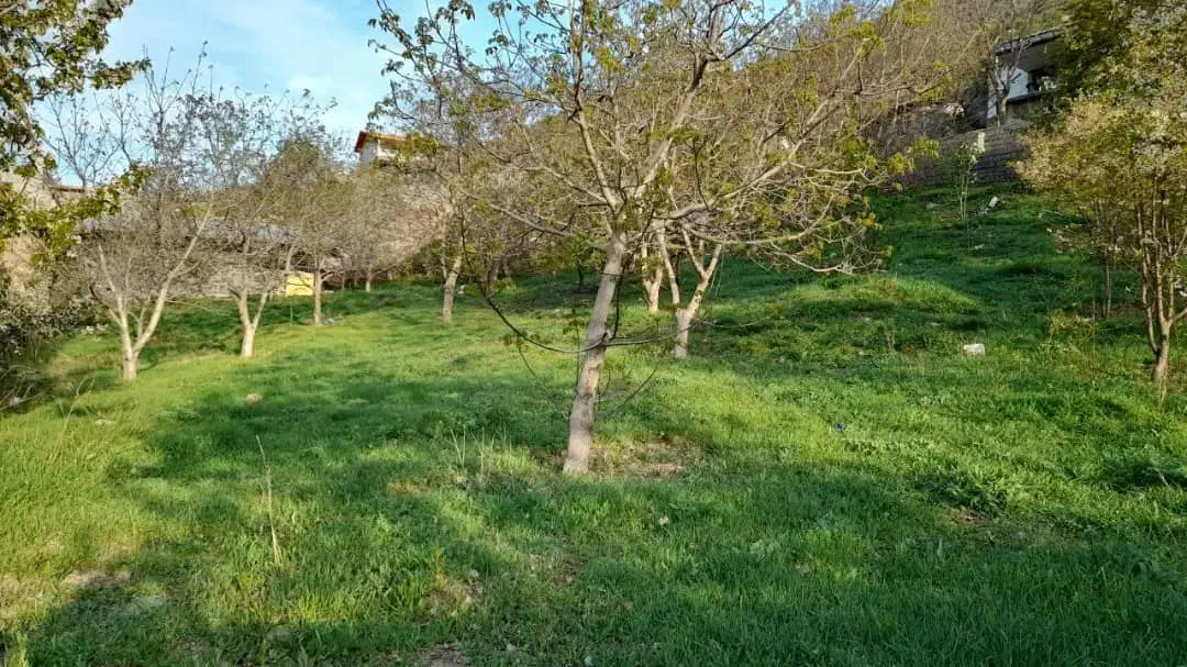 زمین متراژ دلخواه داخل بافت|فروش زمین و ملک کلنگی|گزنک, |دیوار