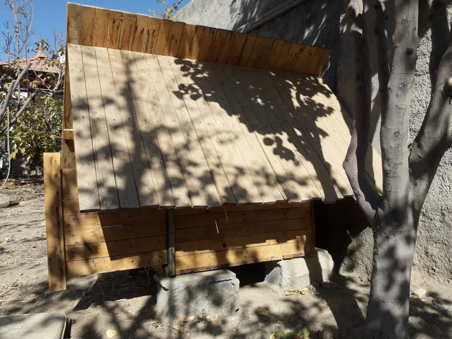 لانیه حیوان|لوازم جانبی حیوانات|شاندیز, |دیوار