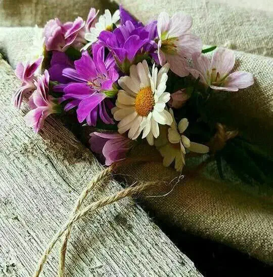 اجاره خانه ویلایی ۲۰۰ متری ۱ خوابه|اجارهٔ خانه و ویلا|اردبیل, |دیوار