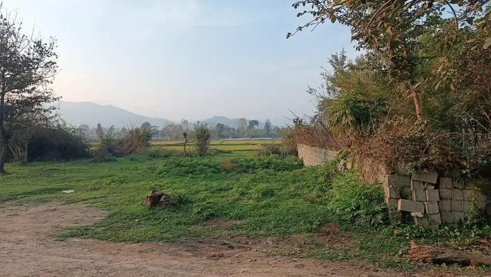 زمین ۷۰۵ متری درگیلان|فروش زمین و ملک کلنگی|ماکلوان, |دیوار