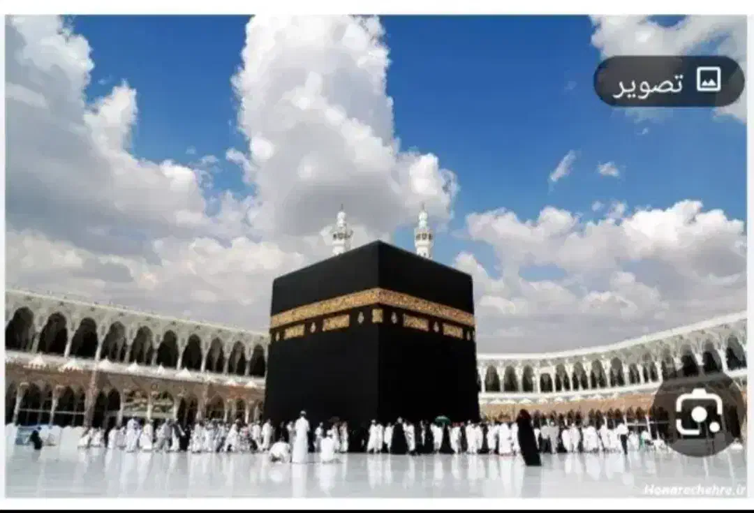 فیش حج|تور و چارتر|میاندوآب, |دیوار
