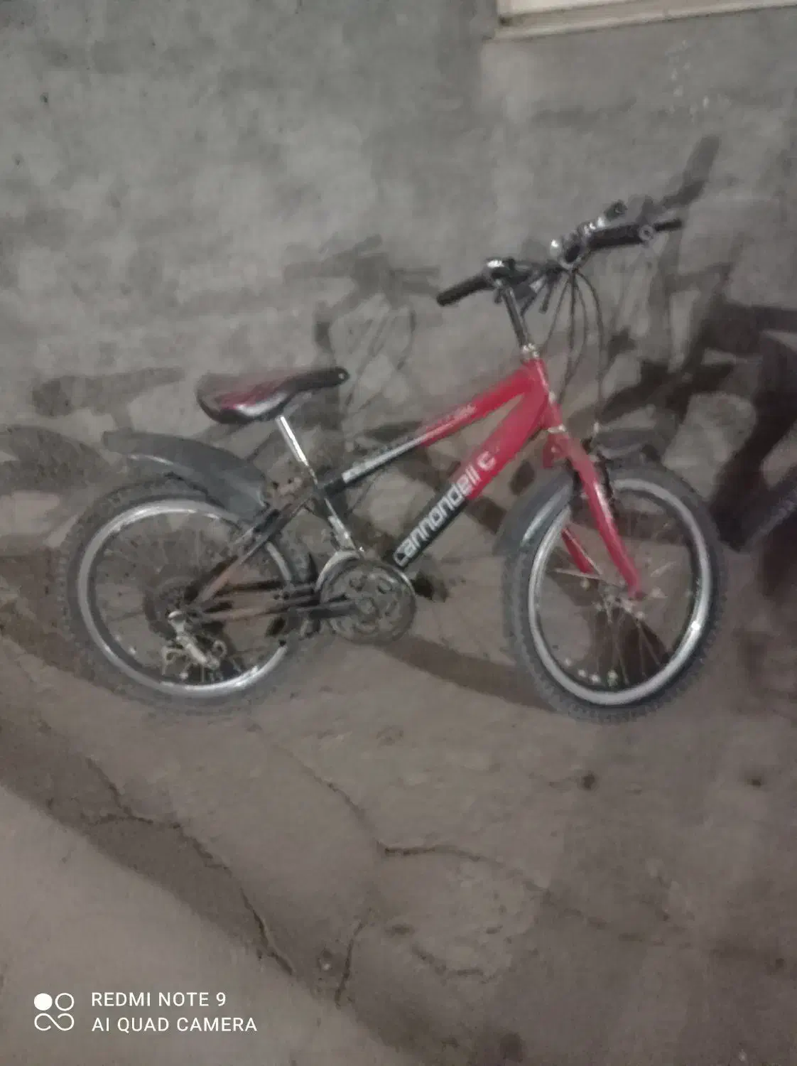 دوچرخه نوربهار|دوچرخه، اسکیت، اسکوتر|قیدار, |دیوار