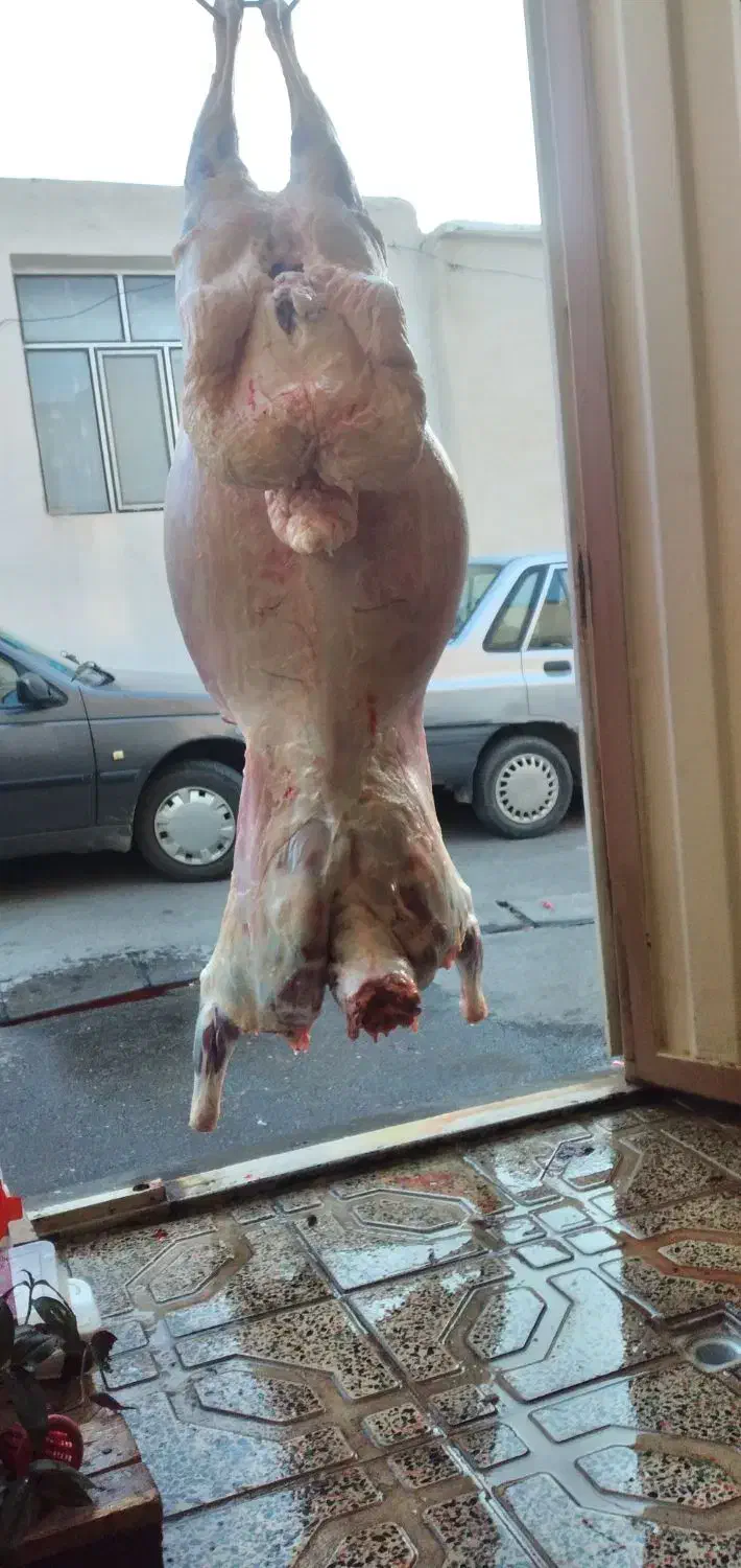 قصاب .سلاخ.قصابی.سلاخی|خدمات پذیرایی، مراسم|زنجان, |دیوار