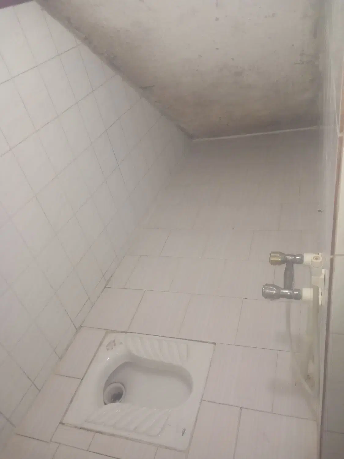 سویت ۵۵ متری|اجارهٔ خانه و ویلا|رشت, سلیمانداراب|دیوار