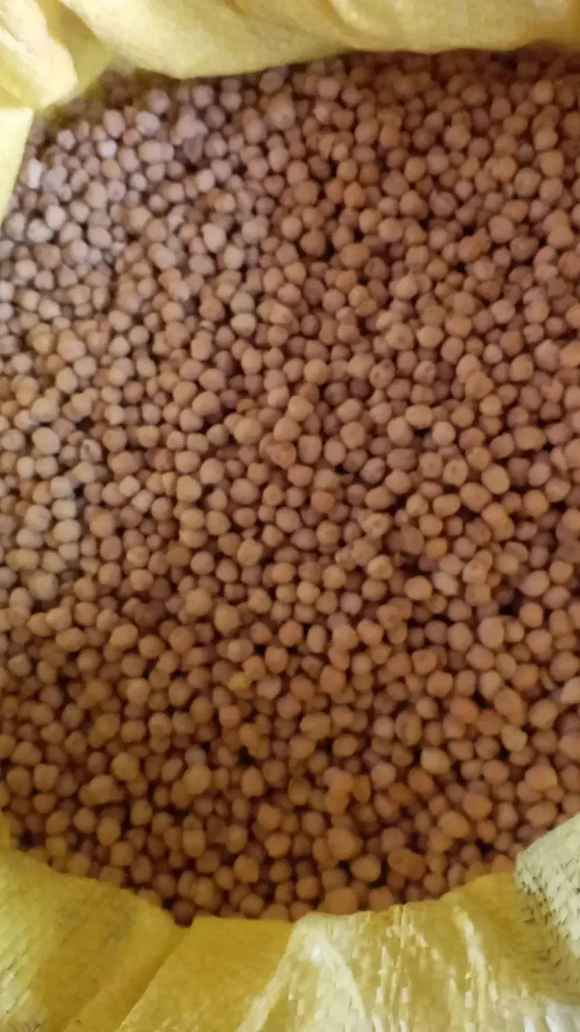 نخود ابگوشتی|عمده‌فروشی|گلی داغ, |دیوار