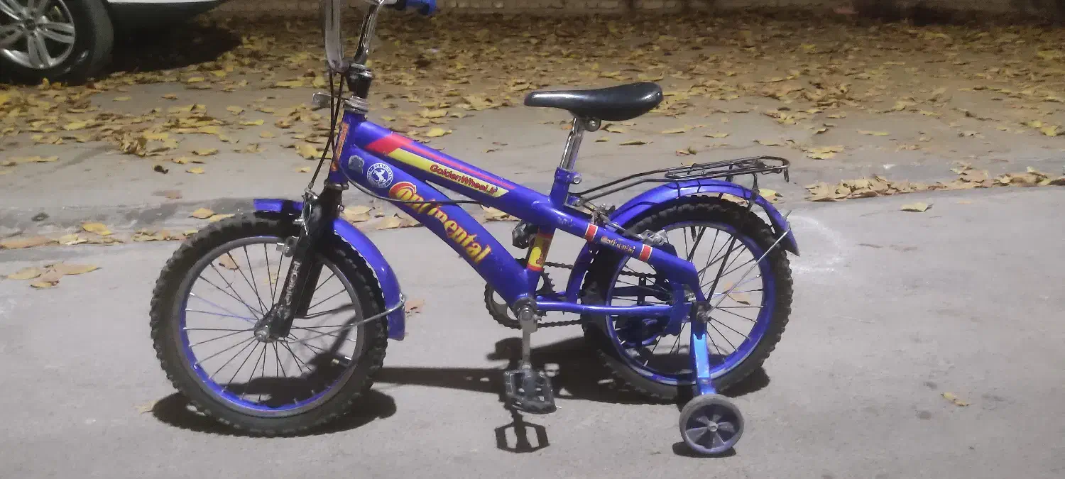 دوچرخه 16|دوچرخه، اسکیت، اسکوتر|اسفراین, |دیوار