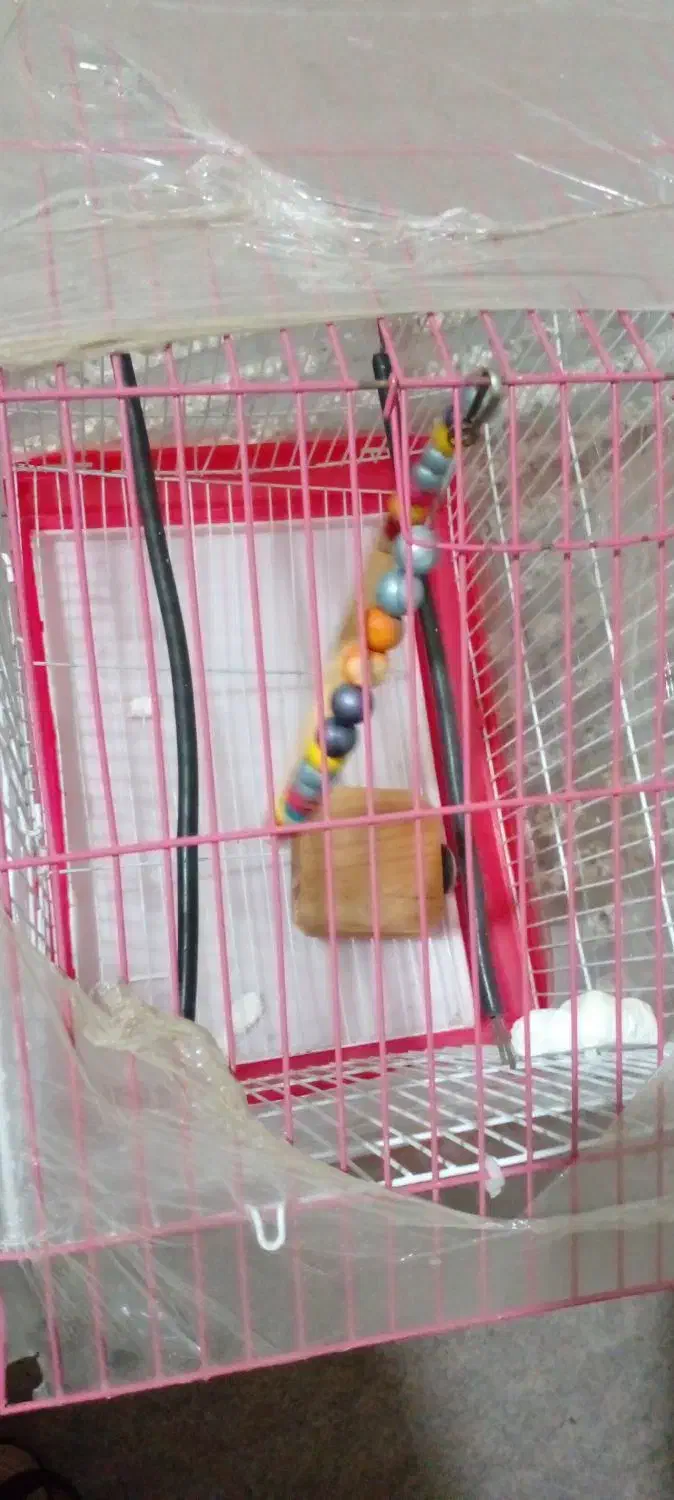 قفس پرنده|لوازم جانبی حیوانات|گرگان, |دیوار