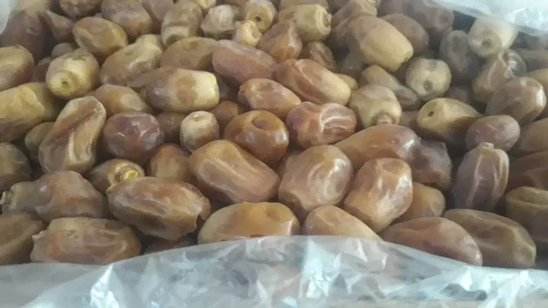 فروش خرمای زاهدی(قصب)|خوردنی و آشامیدنی|افزر, |دیوار