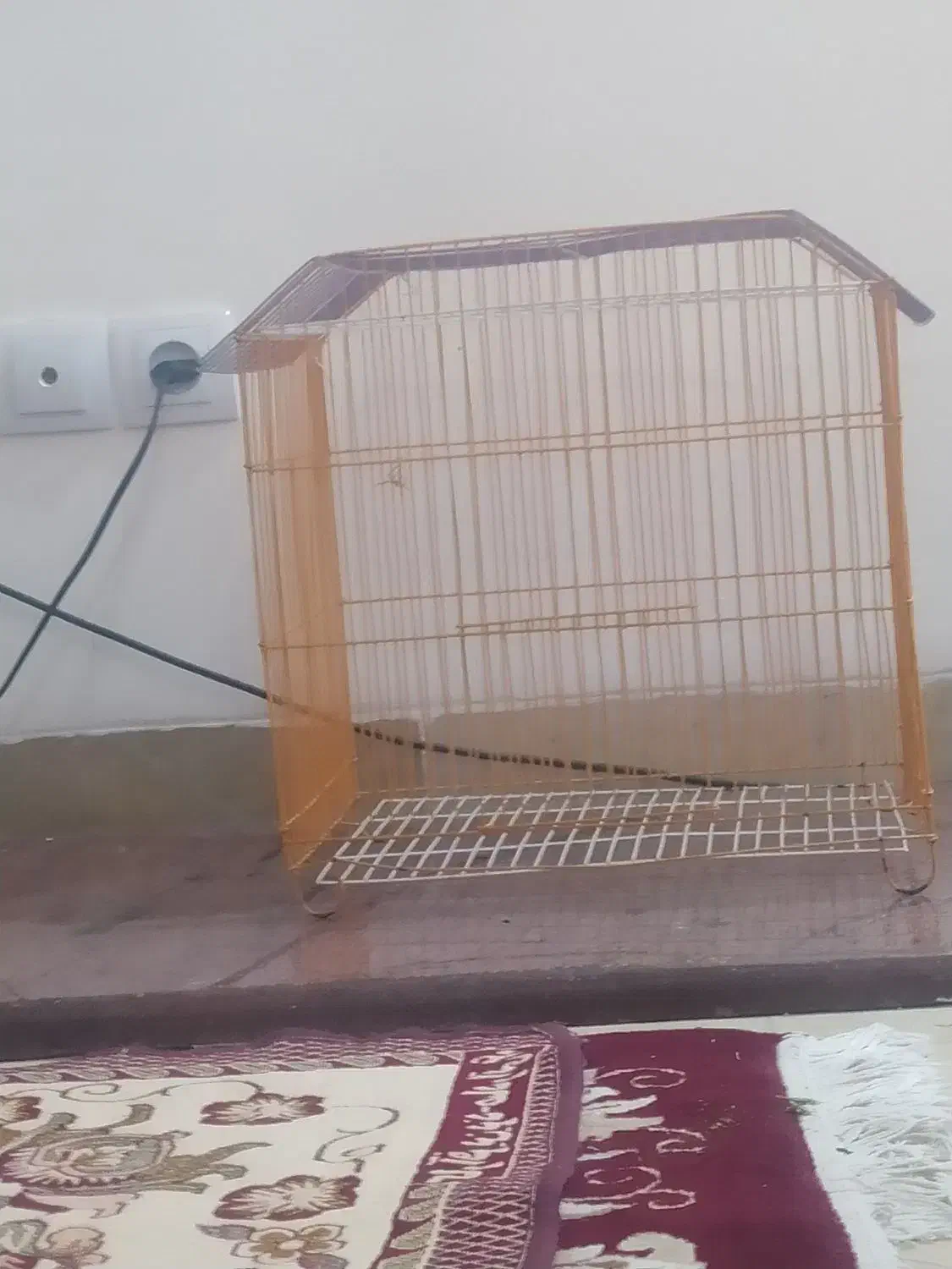 قفس پرنده|لوازم جانبی حیوانات|شیراز, شهرک گلستان|دیوار
