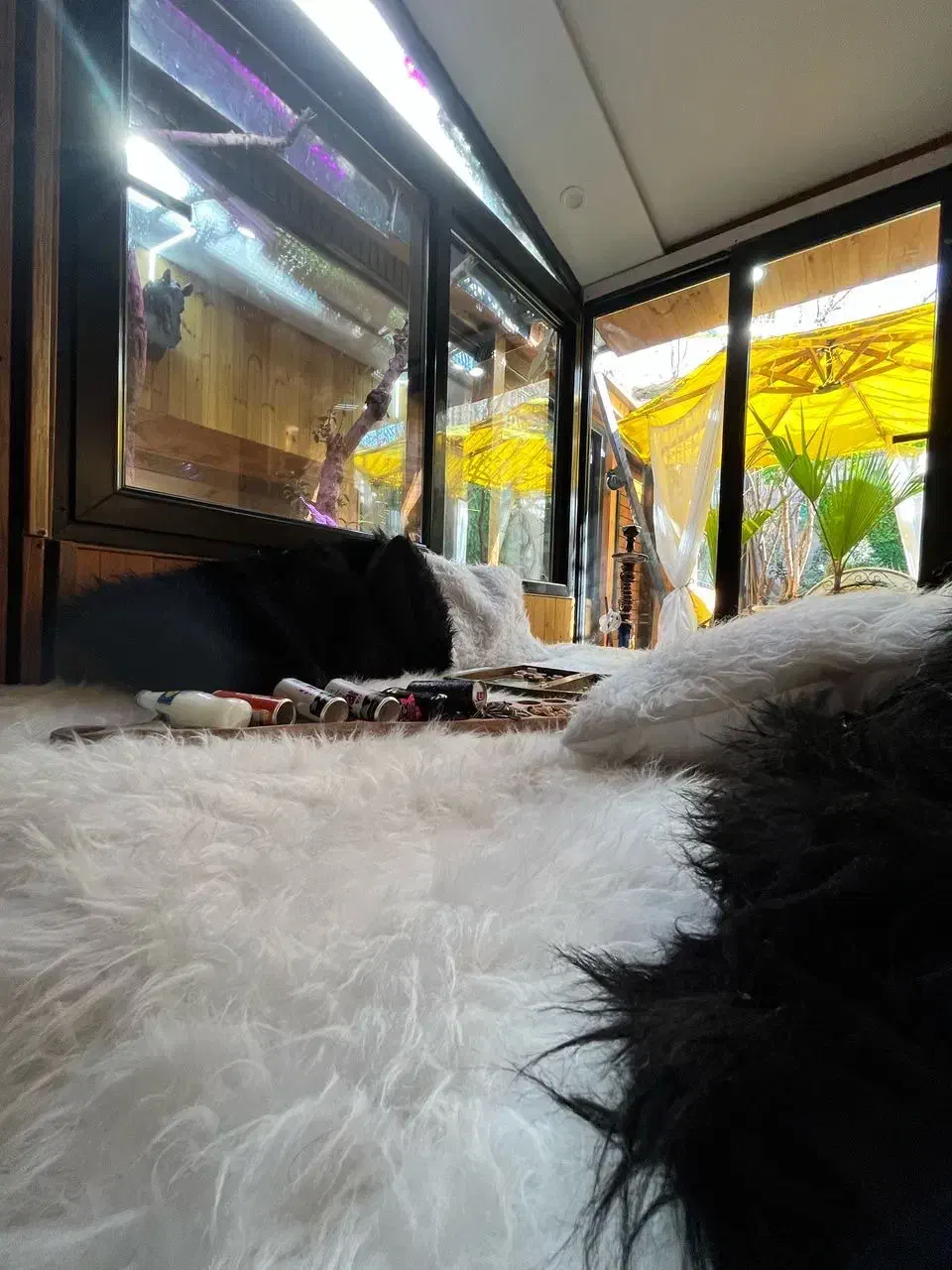 اجاره کوتاه مدت|اجارهٔ کوتاه‌مدت آپارتمان و سوئیت|کرج, مهرویلا شمالی|دیوار