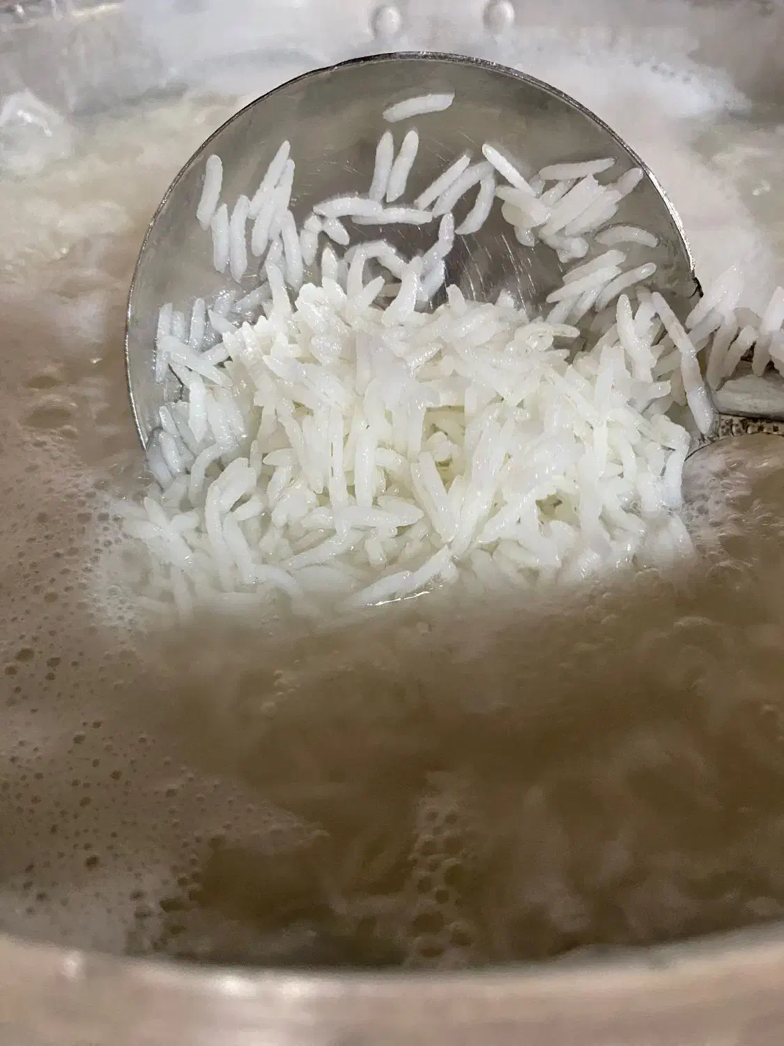 برنج طارم هاشمی کیلویی ۲۸۹|خوردنی و آشامیدنی|بابل, |دیوار