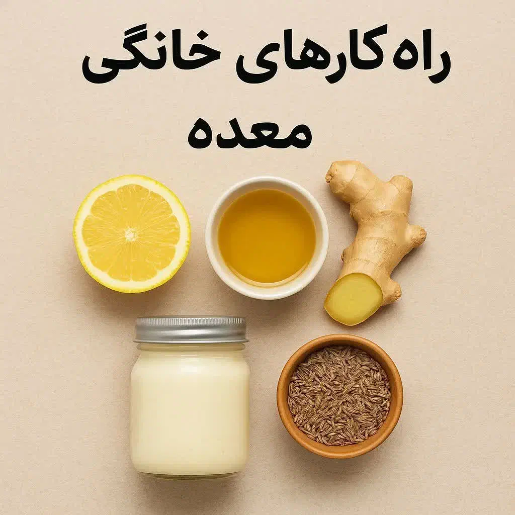 گروه طب سنتی فارس|خدمات آموزشی|شیراز, ابیوردی|دیوار