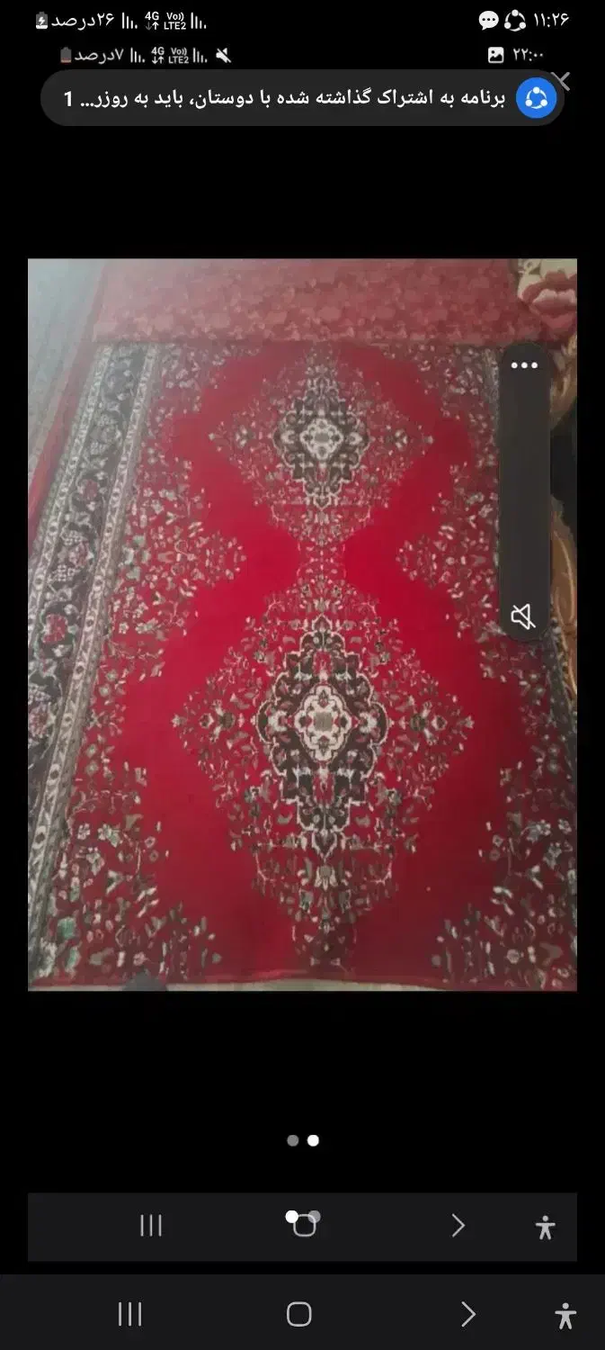 قالی قیمت مناسب|فرش|کرمان, |دیوار