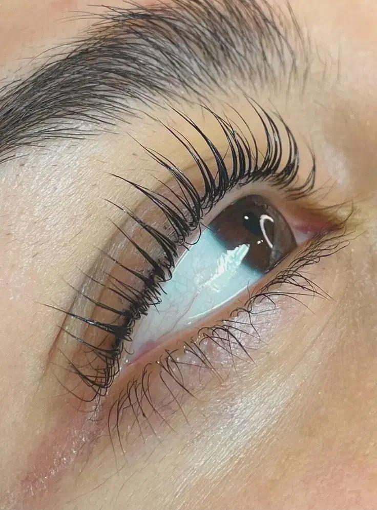 مژه|آرایشی، بهداشتی، درمانی|سبزوار, ابوریحان|دیوار