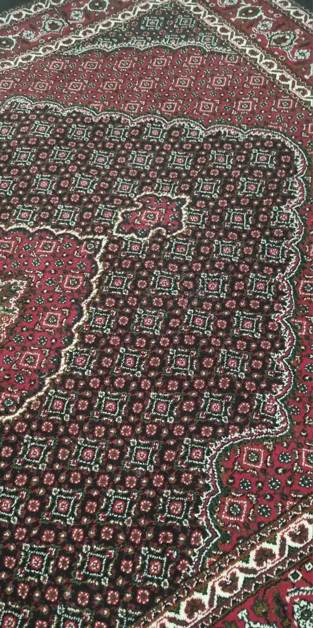 فرش ۶ متری ریز ماهی|فرش|جوانرود, |دیوار