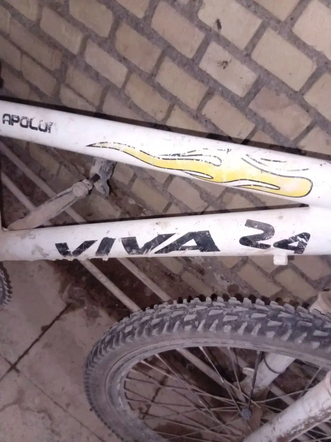 دوچرخه ۲۴|دوچرخه، اسکیت، اسکوتر|باوی, |دیوار