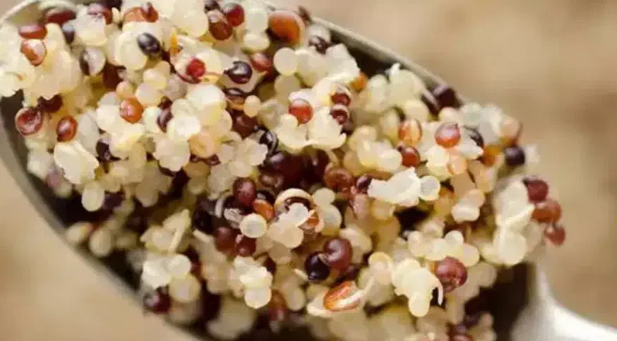 پذیرایی و مراسم|خدمات پذیرایی، مراسم|دورود, |دیوار