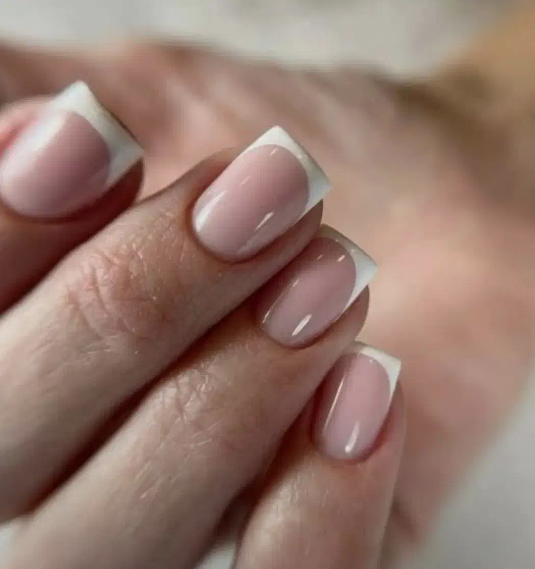 نیاز ب مدل برای تکمیل آلبوم فقط هزینه مواد هست|خدمات آرایشگری و زیبایی|تربت جام, شاد|دیوار