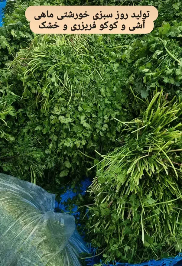 سبزی خورشتی اپز رامهرمز کیلو۹۰|خوردنی و آشامیدنی|شاهین‌شهر, امیرکبیر|دیوار