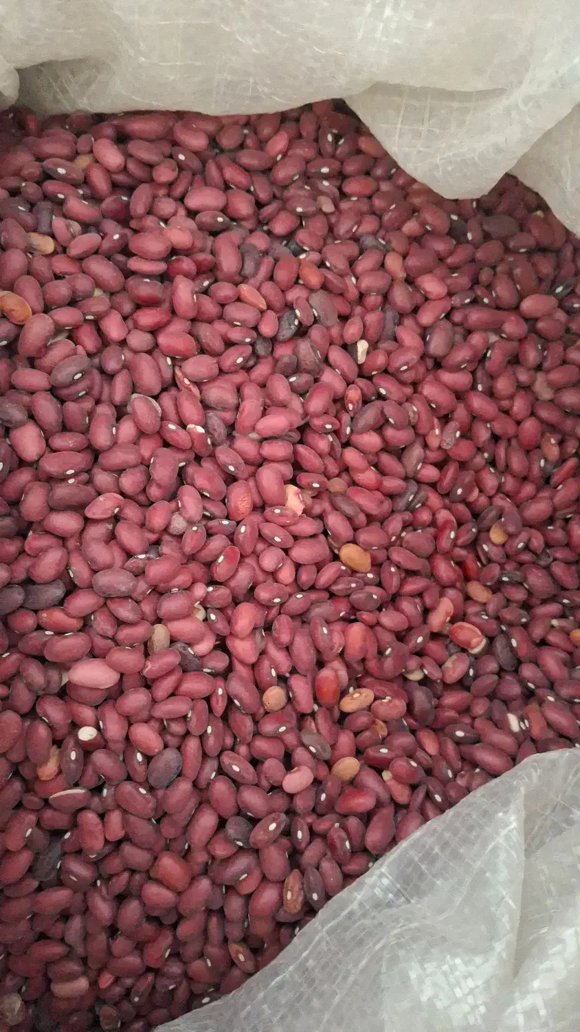 فروش عمده لوبیا قرمز|عمدهفروشی|پاسارگاد, |دیوار