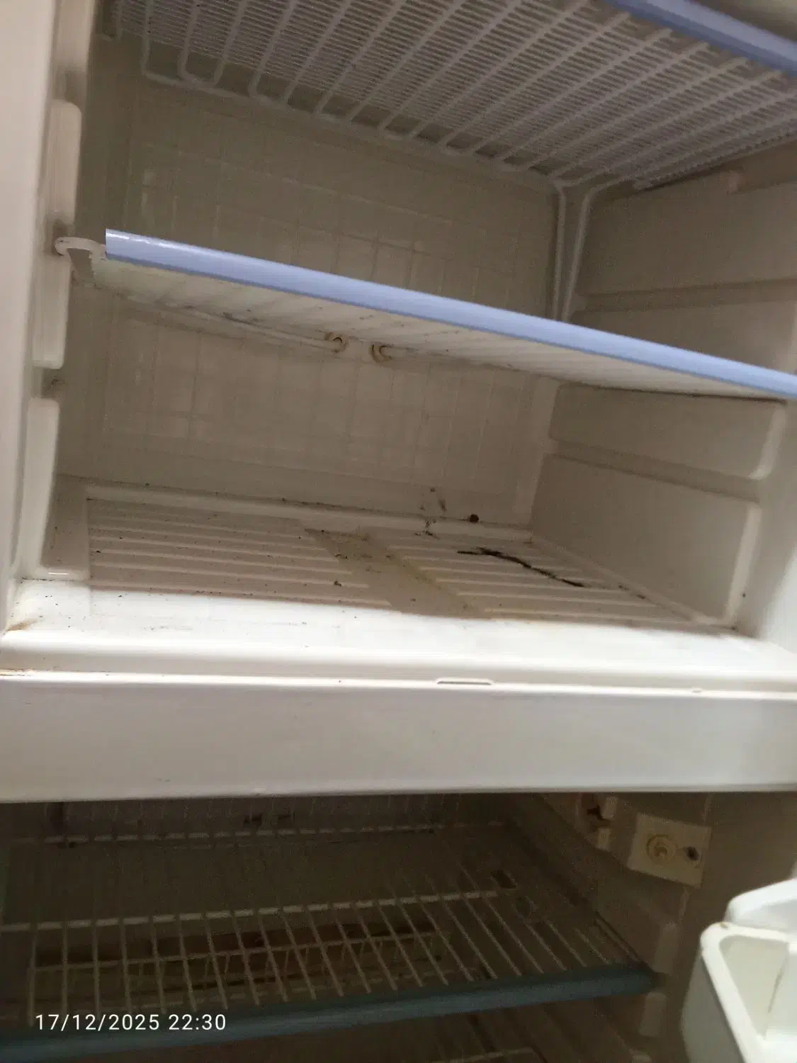 یخچال فریزر هیمالیا|یخچال و فریزر|قشم, |دیوار