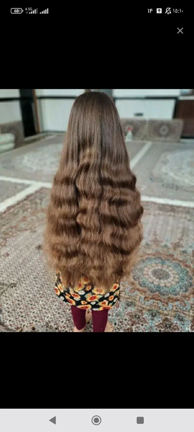 خریدار موهای شما با بالاترین قیمت|خدمات آرایشگری و زیبایی|گهواره, |دیوار