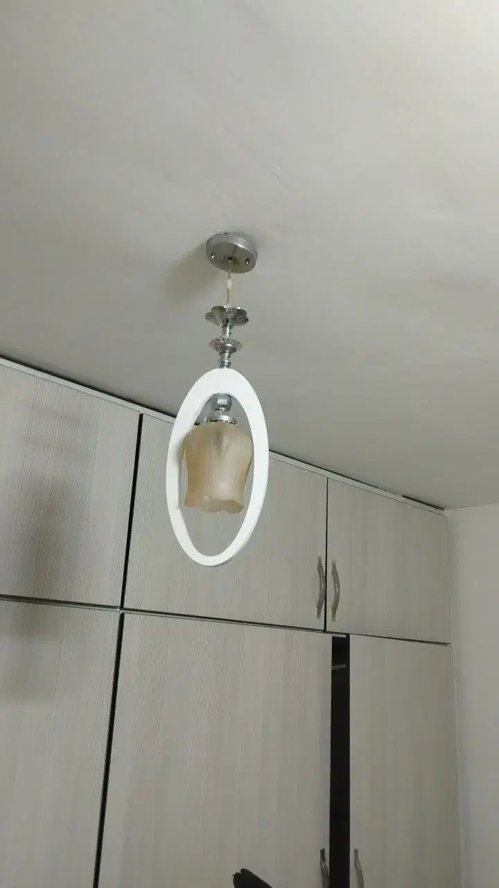 دو عدد لوستر|لوستر و چراغ آویز|اراک, |دیوار