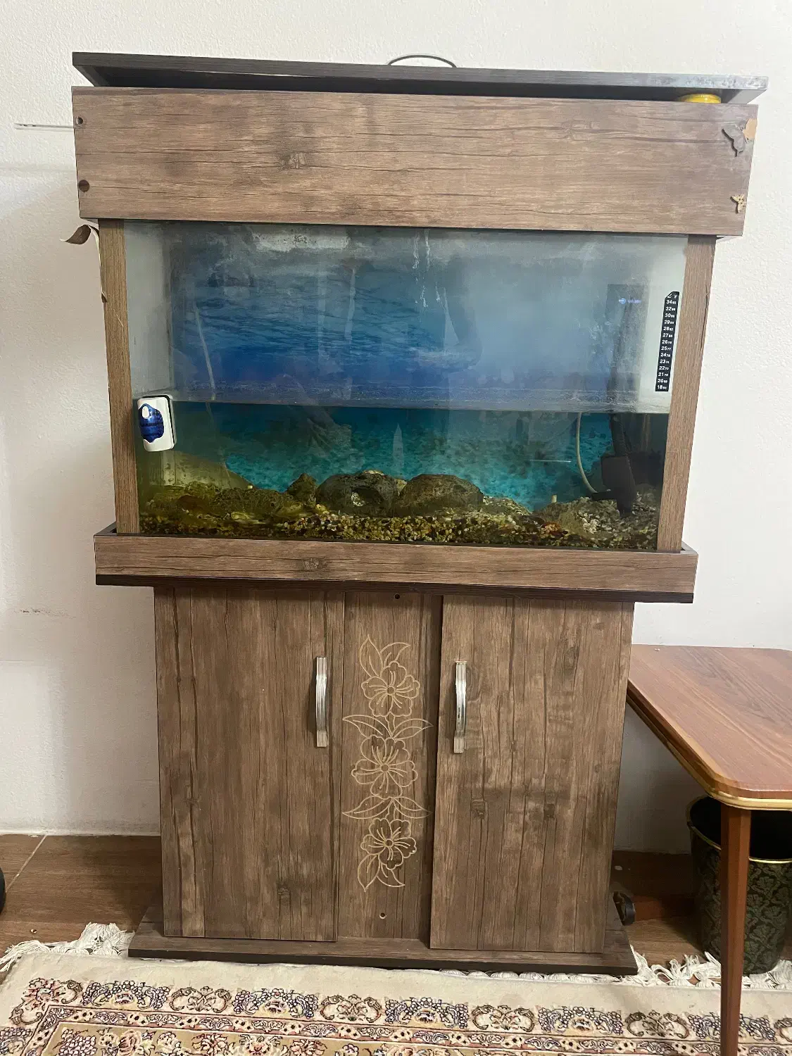 اکواریوم|ماهی|پاکدشت, پاکدشت (مامازند)|دیوار