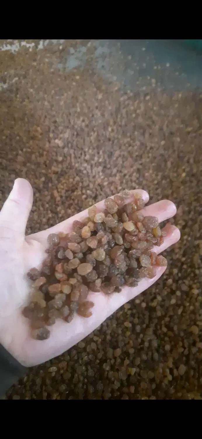 کشمش ملایر مرتضی|خوردنی و آشامیدنی|ملایر, |دیوار