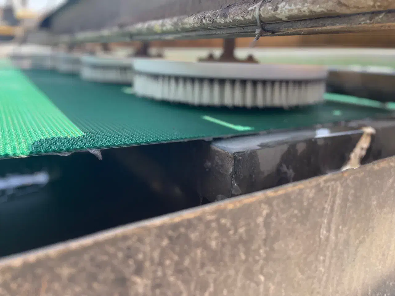 قالیشوی تمام اتوماتیک دلتا|خدمات نظافت|رفسنجان, |دیوار