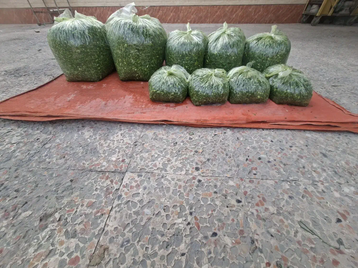 سبزی اشی مخصوص ..اش،وحلیمی تره خالی،در بسته های|خوردنی و آشامیدنی|کیانشهر, |دیوار