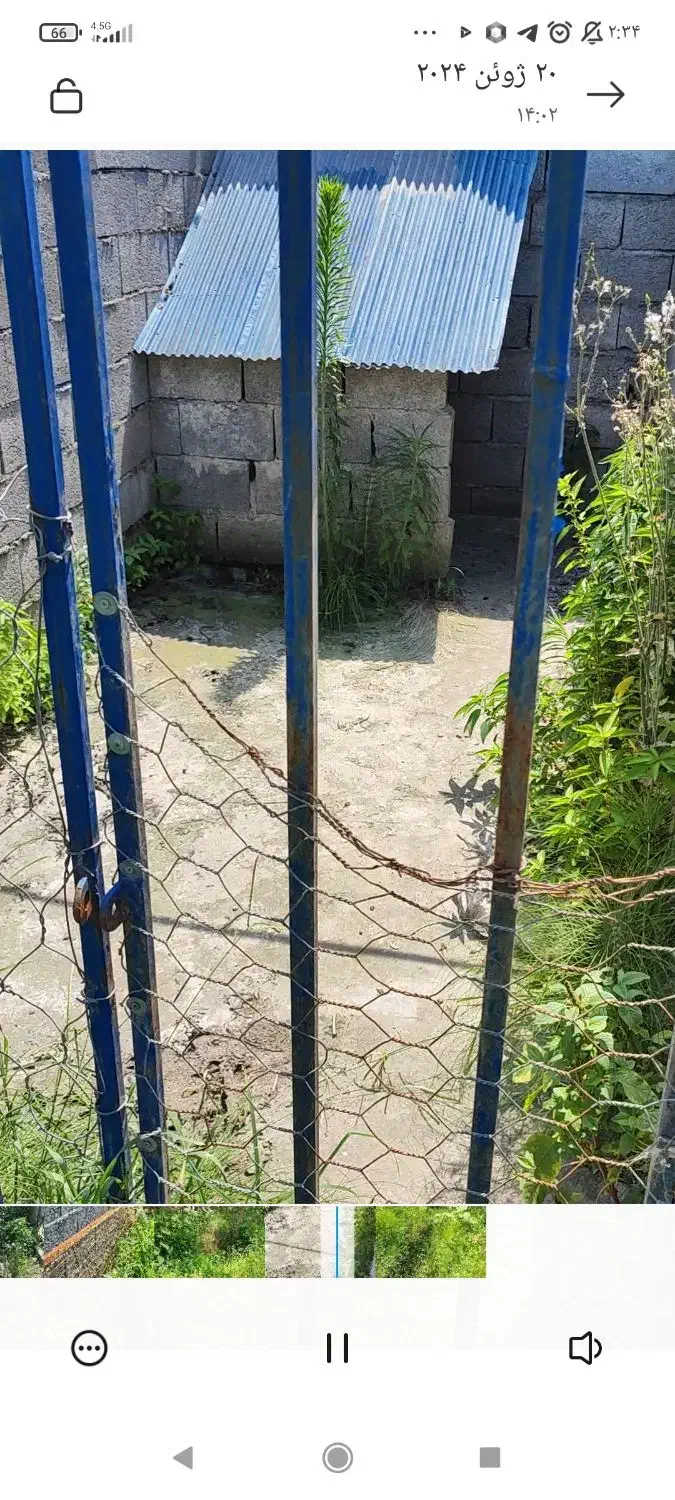 سگ .اسب آگهی بخونید|سگ|خرمآباد (تنکابن), |دیوار