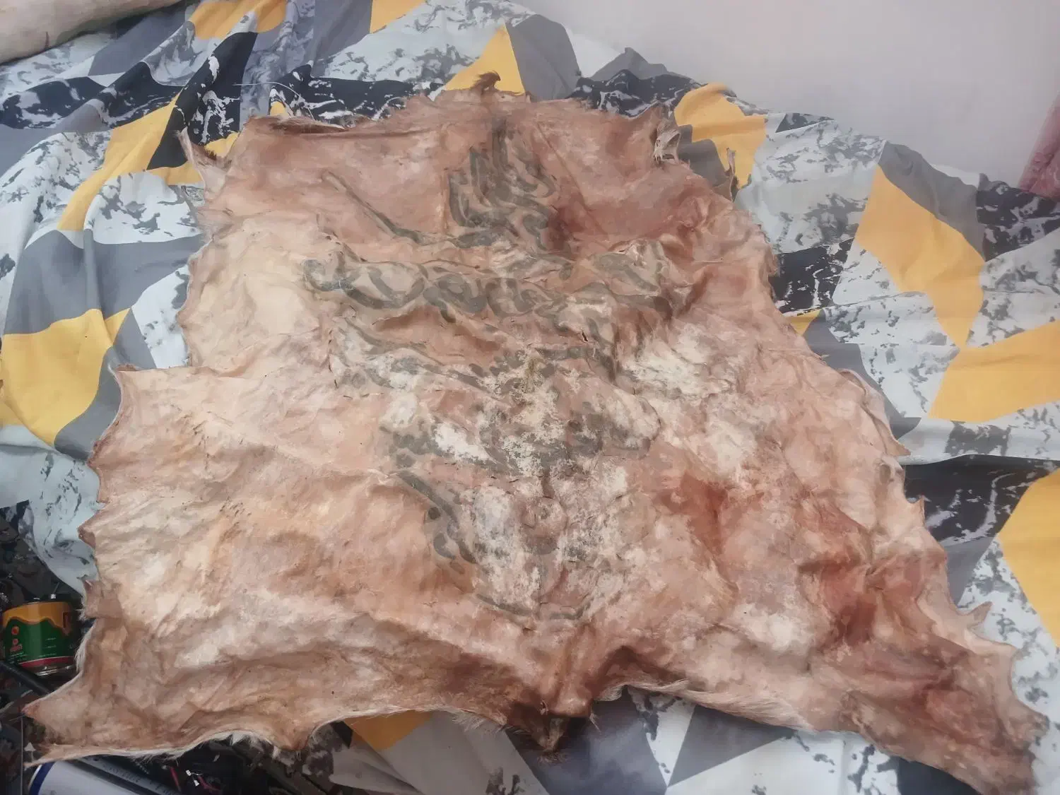 پوست آهوی قدیمی وان یکاد سوخته شده روی پوست|کلکسیون اشیاء عتیقه|اندیشه, اندیشه فاز ۵|دیوار