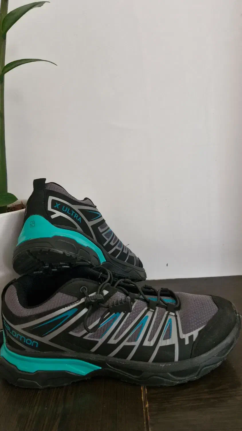 دو عدد کفش|کیف، کفش، کمربند|هشتگرد, هشتگرد قدیم|دیوار