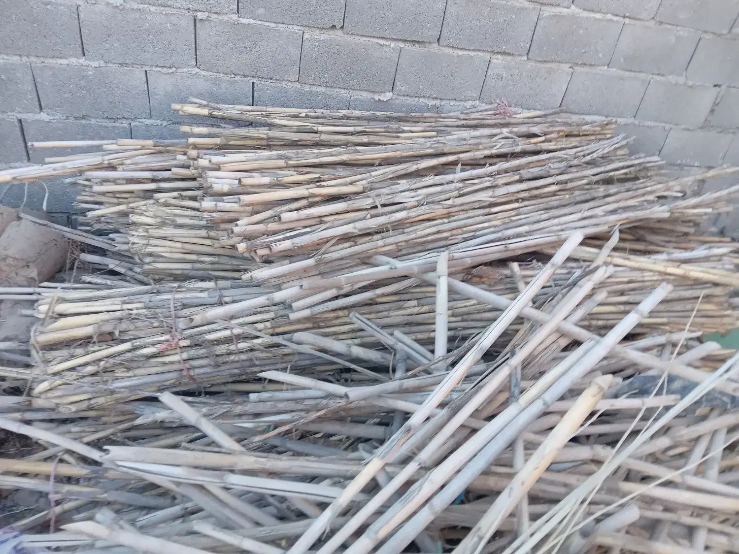 قیم|خدمات باغبانی و درختکاری|پاکدشت, پاکدشت (مامازند)|دیوار