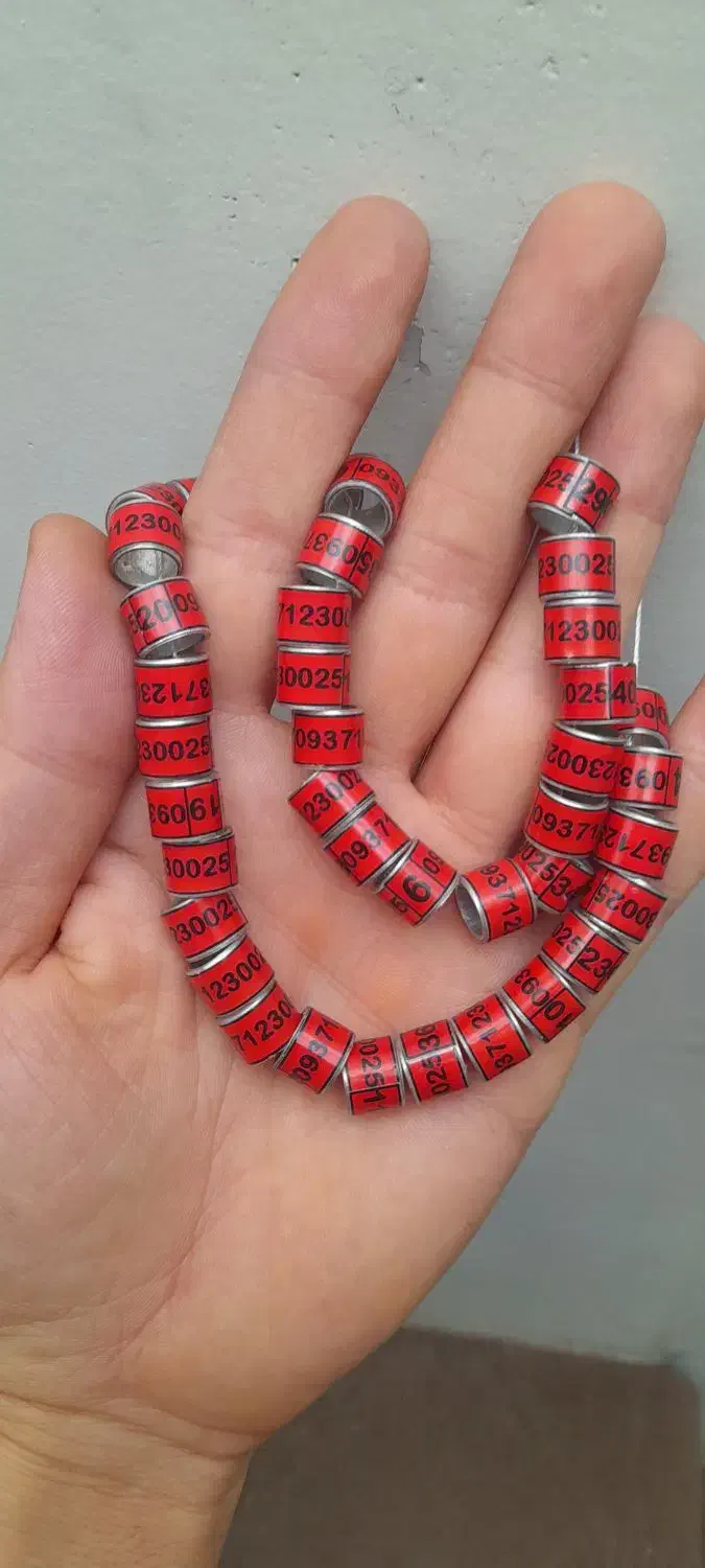 حلقه پای کفتر پلاک کفتر|لوازم جانبی حیوانات|تهران, چیتگر شمالی|دیوار