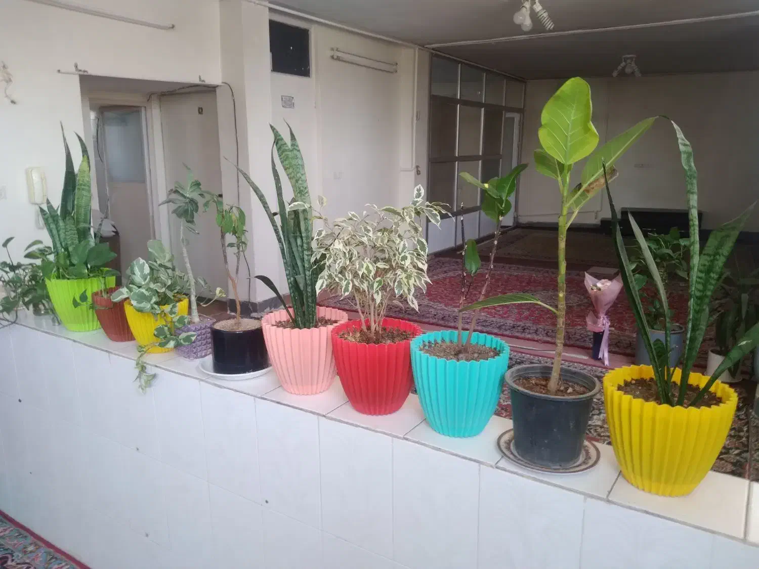 اجاره بلند مدت واحد مسکونی ۱۱۰متری|اجارهٔ آپارتمان|خمینی‌شهر, |دیوار