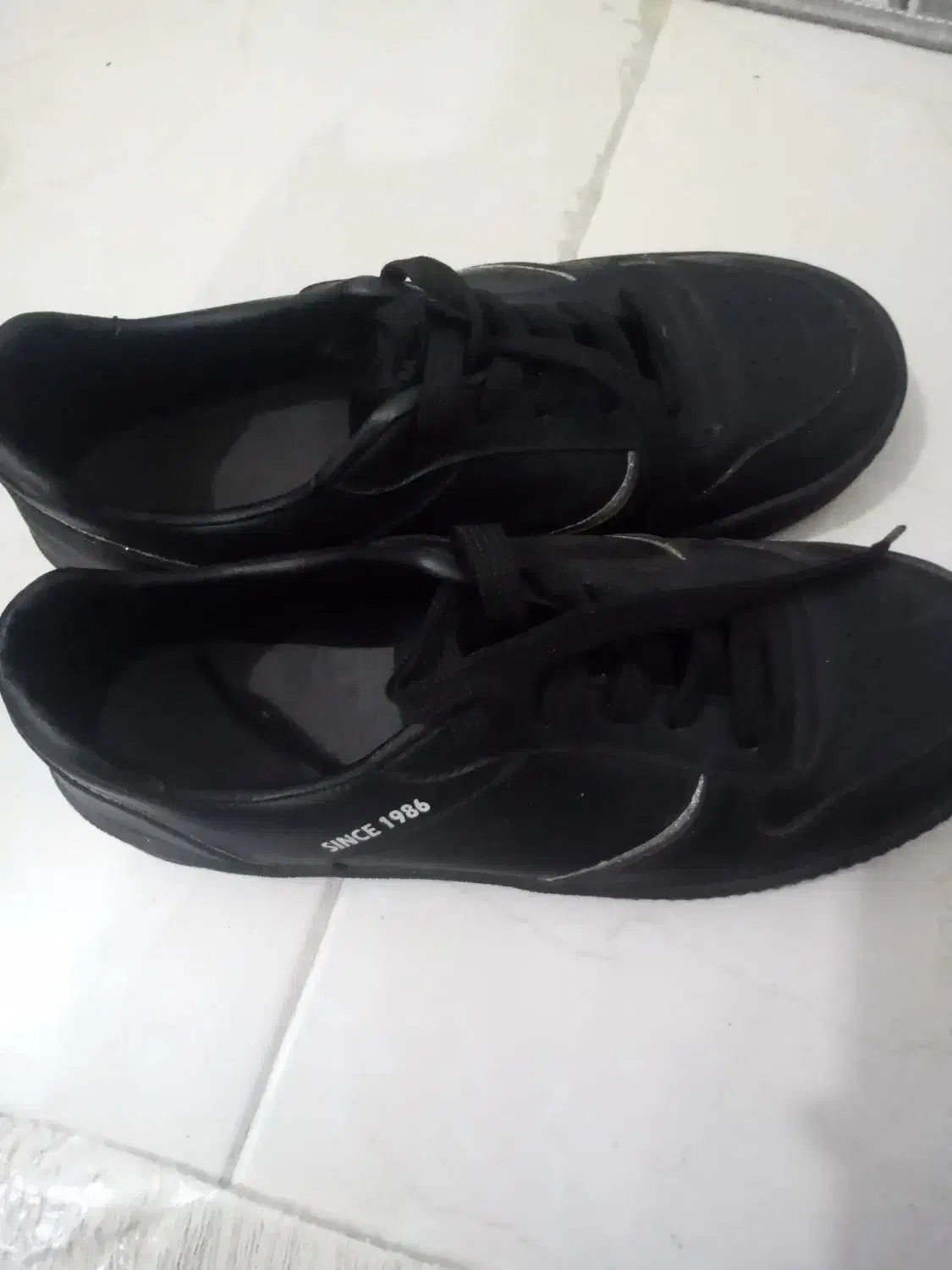 کفش|کیف، کفش، کمربند|رشت, فلسطین|دیوار