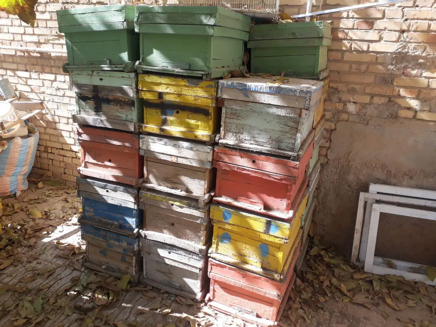 کندو|حیوانات مزرعه|فریدونشهر, |دیوار