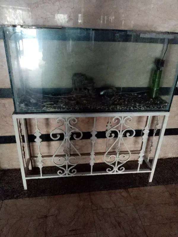 آکواریوم سالم و تمیز همه وسایل تکمیل|ماهی|قم, زند آباد|دیوار