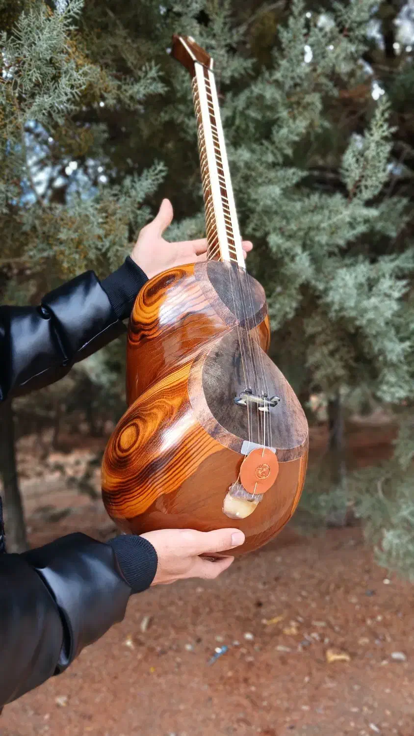 تارکارگاهی|سازهای سنتی|تهران, منیریه|دیوار