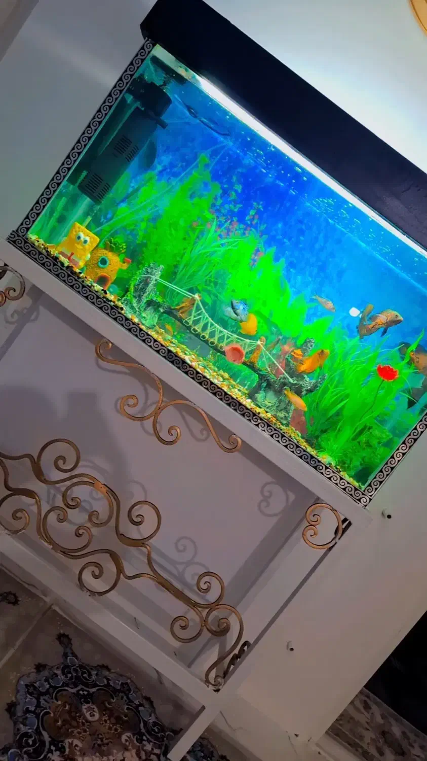 اکواریوم با وسایل|ماهی|پاکدشت, شهرک انقلاب|دیوار