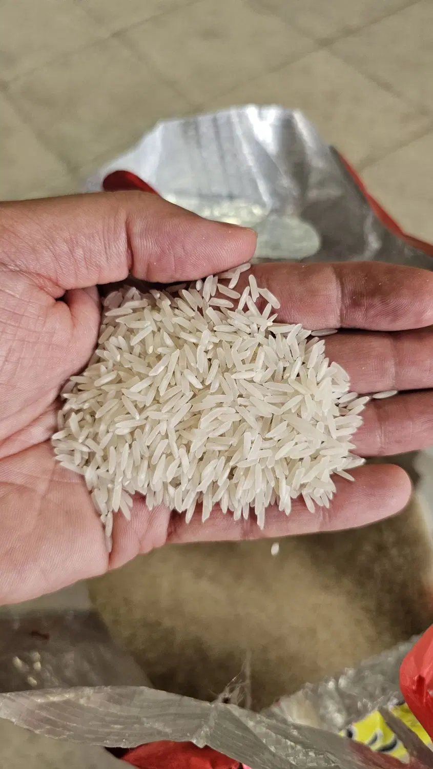برنج ۳۸۶ گلخان|خوردنی و آشامیدنی|آمل, |دیوار
