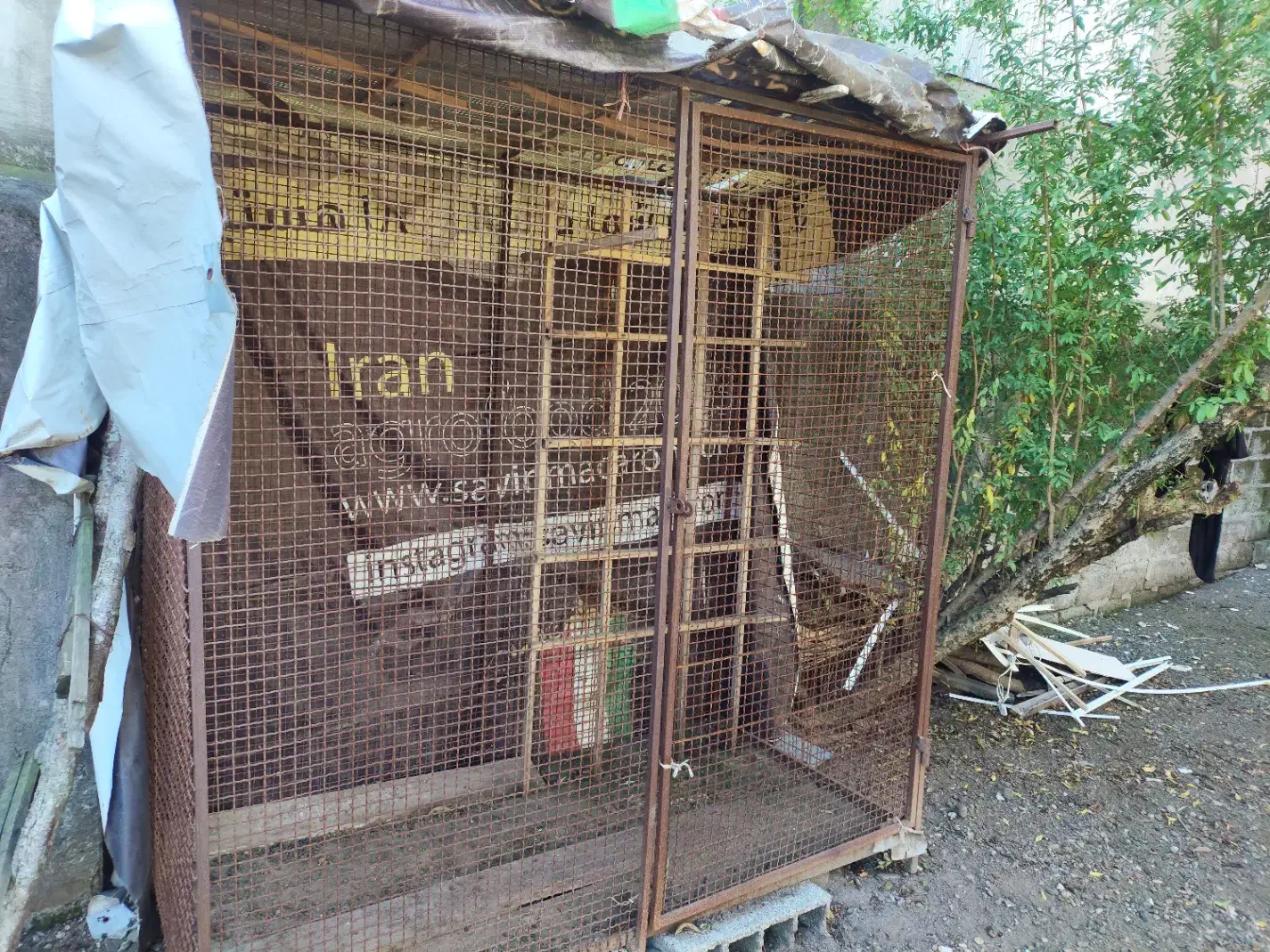 قفس آهنی|لوازم جانبی حیوانات|املش, |دیوار