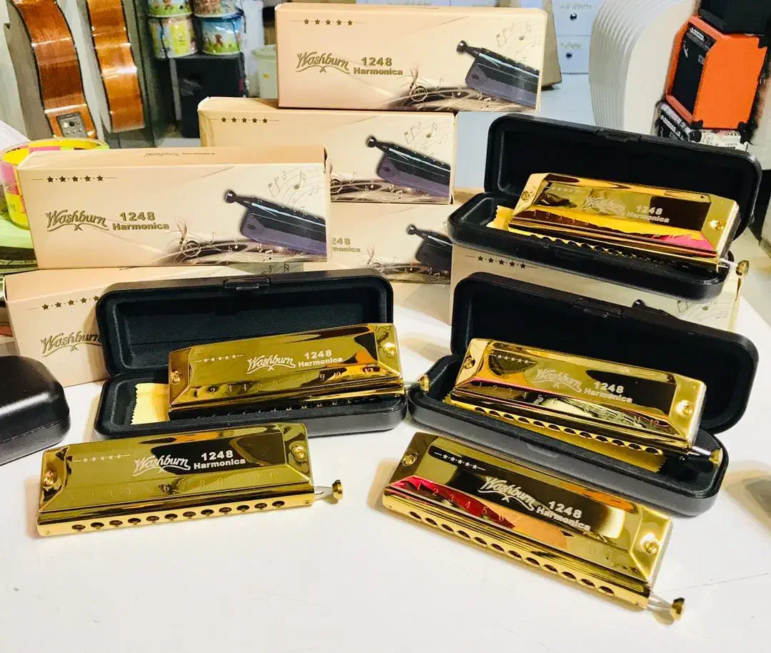 سازدهنی حرفهای کروماتیک|سازهای بادی|شیراز, خلدبرین|دیوار