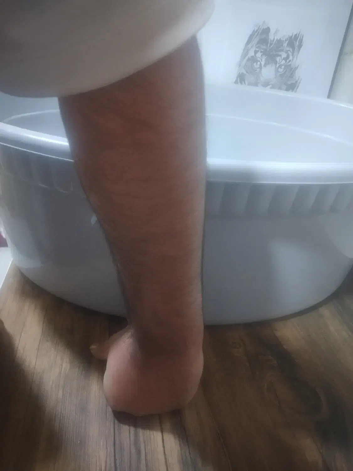 تشت باارتفاع ۹/۵و طول ۶۲ و عرض ۵۰  سانتی متر|ظروف نگهدارنده، پلاستیکی، یک‌بارمصرف|عنبرآباد, |دیوار