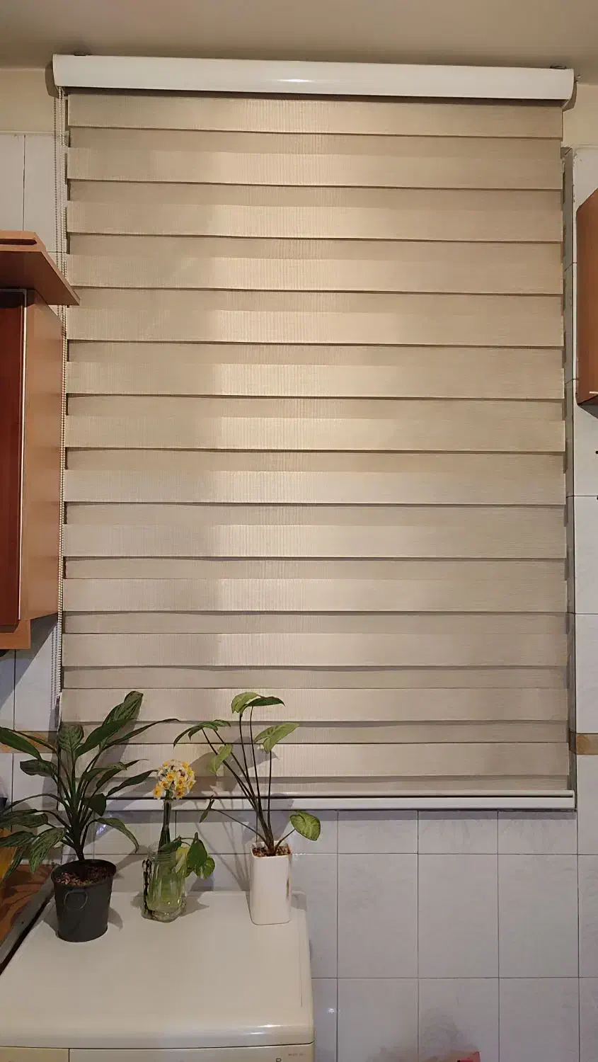 دو عدد پرده ۲۶۰*۲۸۰ و ۱۲۵*۲۰۰|پرده، رانر، رومیزی|تهران, اسکندری|دیوار