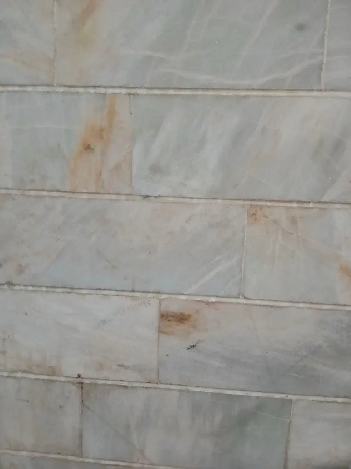 اجرای نمای ساختمان|خدمات پیشه و مهارت|میبد, |دیوار