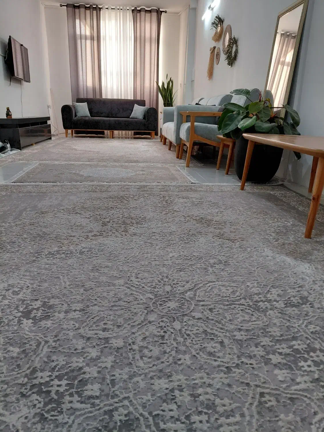 قالی|فرش|مشهد, امیریه|دیوار