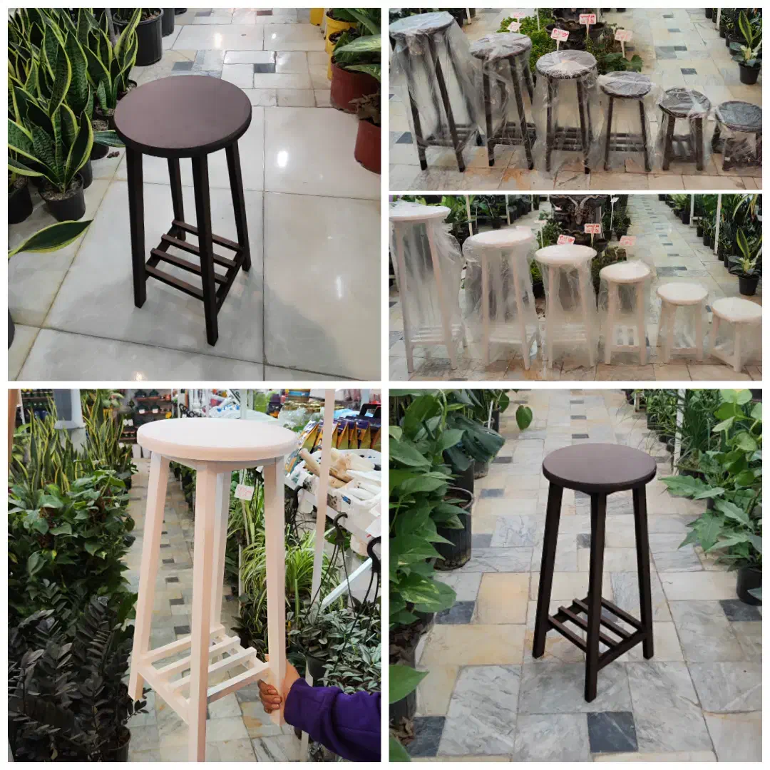 شفلرا آمستل برگ عبایی زاموفیلیا فیکوس استند پتوس|گل و گیاه طبیعی|قم, ولیعصر|دیوار